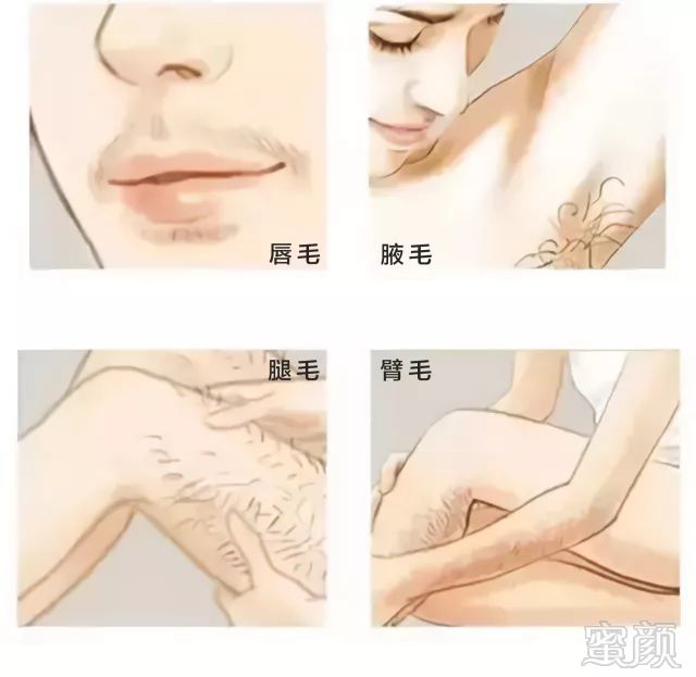 https://img.miyanlife.com/mnt/timg/190304/14025914a-0.jpg