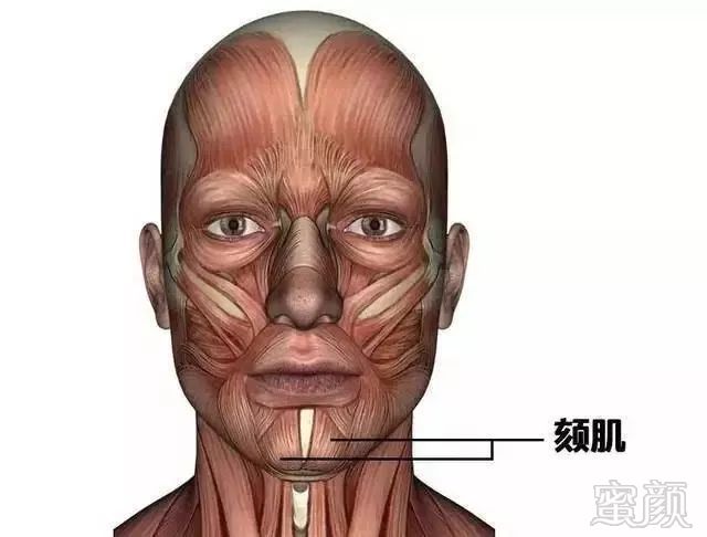 https://img.miyanlife.com/mnt/timg/190304/14150031H-3.jpg