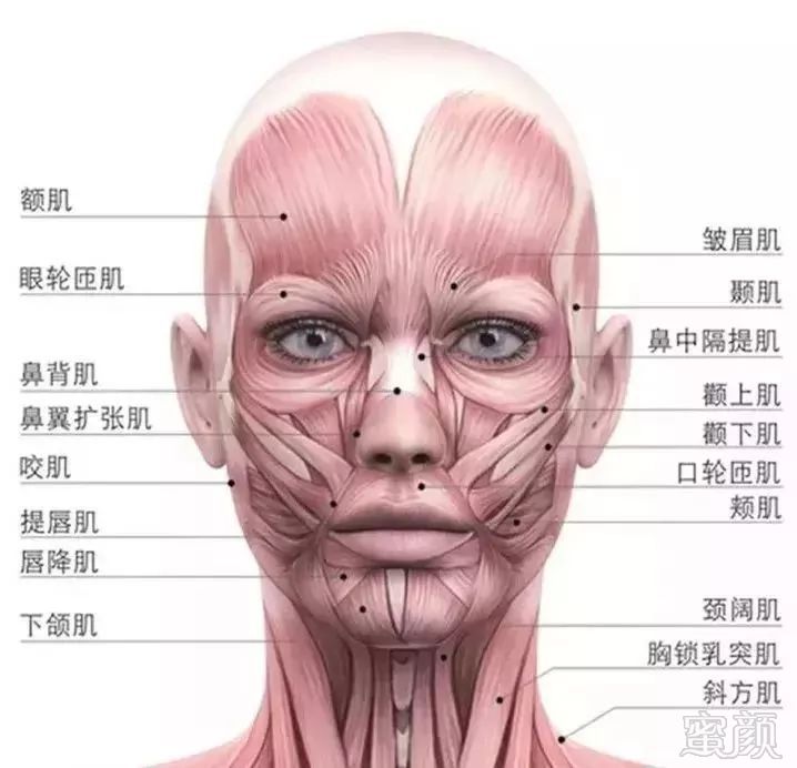 https://img.miyanlife.com/mnt/timg/190306/14131VK3-5.jpg