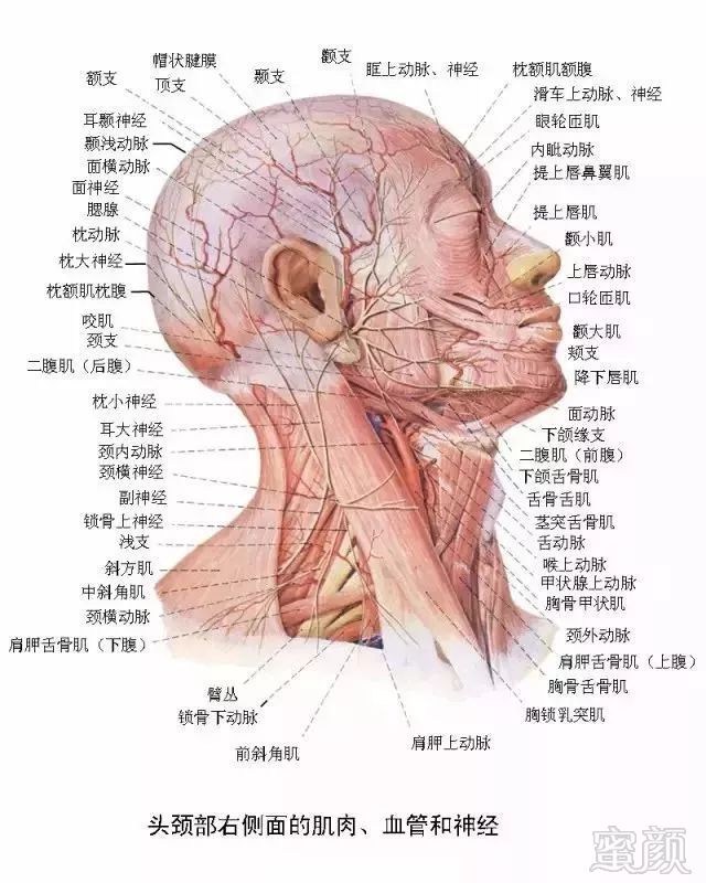 案例图片