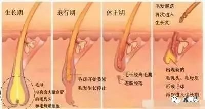 https://img.miyanlife.com/mnt/timg/190307/1453132G2-2.jpg
