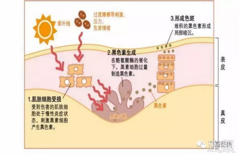https://img.miyanlife.com/mnt/timg/190308/130J62C8-3.jpg
