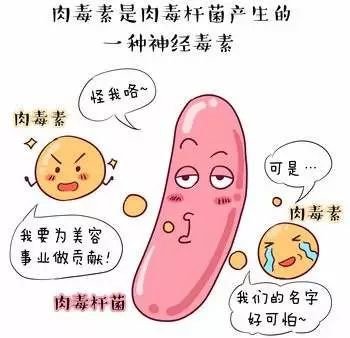 案例图片