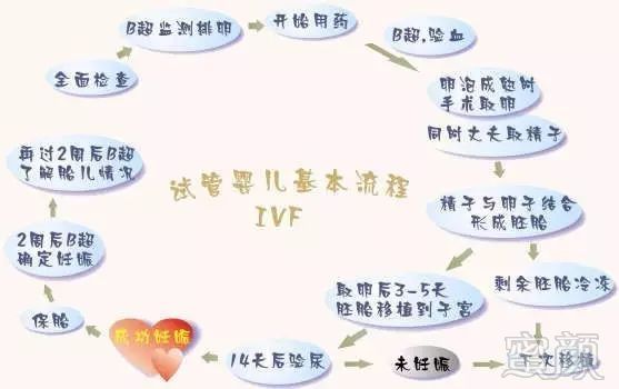 https://img.miyanlife.com/mnt/timg/190309/104I550R-1.jpg