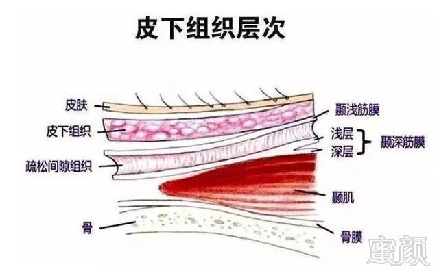 案例图片