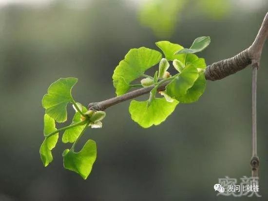 https://img.miyanlife.com/mnt/timg/190312/14200133W-0.jpg