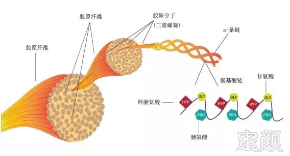 案例图片