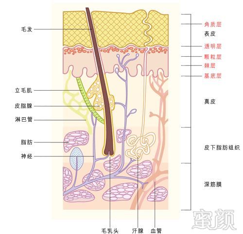 https://img.miyanlife.com/mnt/timg/190313/1314462B9-4.jpg