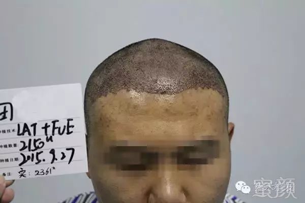 https://img.miyanlife.com/mnt/timg/190313/1324505I8-5.jpg