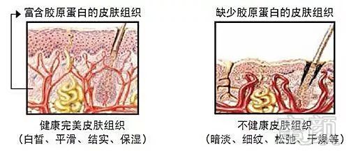 https://img.miyanlife.com/mnt/timg/190313/133F63930-2.jpg