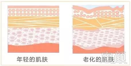 https://img.miyanlife.com/mnt/timg/190319/13022Q359-1.jpg