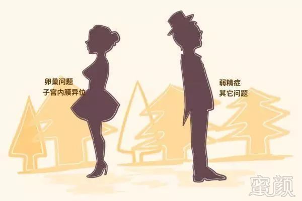 https://img.miyanlife.com/mnt/timg/190320/1314161091-5.jpg