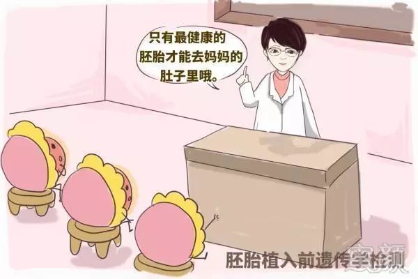 https://img.miyanlife.com/mnt/timg/190320/1314161111-8.jpg