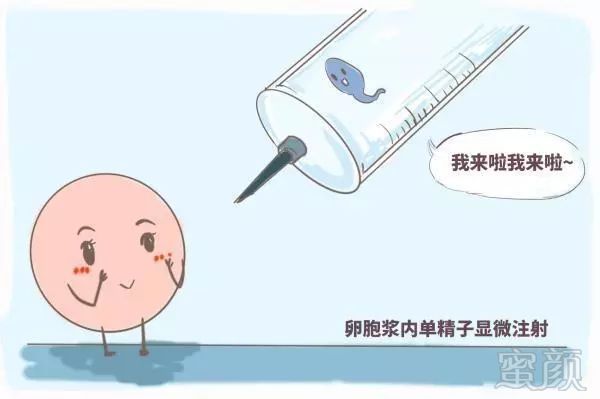https://img.miyanlife.com/mnt/timg/190320/1314163349-6.jpg