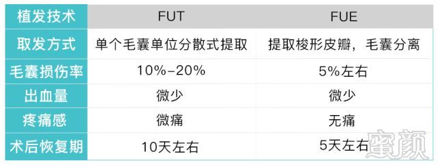 案例图片