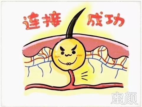 https://img.miyanlife.com/mnt/timg/190324/112044AJ-8.jpg