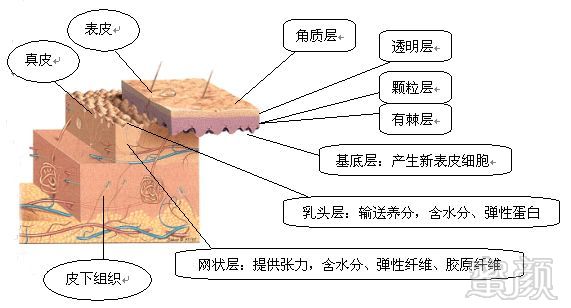 https://img.miyanlife.com/mnt/timg/190324/16491I454-6.jpg