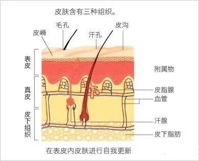 案例图片