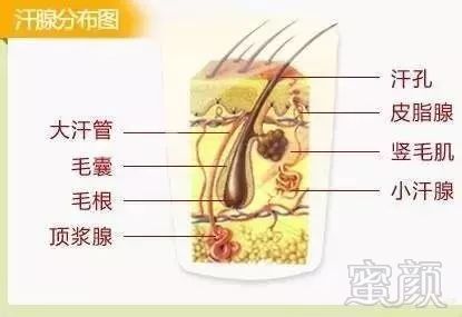 https://img.miyanlife.com/mnt/timg/190328/1554124155-0.jpg