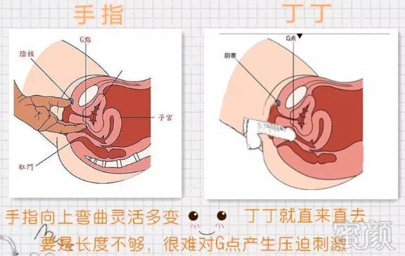 案例图片