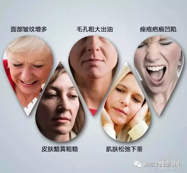 案例图片