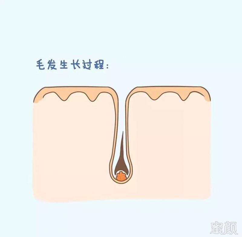 https://img.miyanlife.com/mnt/timg/190331/114G11G2-2.jpg