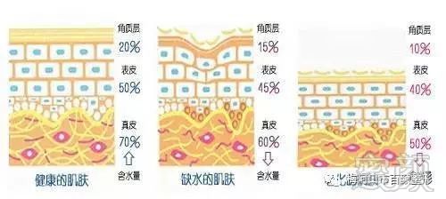 https://img.miyanlife.com/mnt/timg/190331/1221122G6-1.jpg