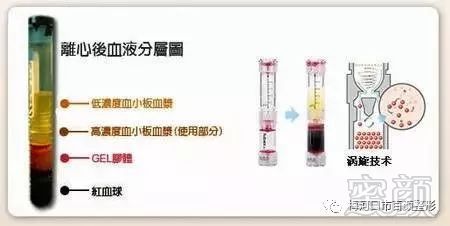 https://img.miyanlife.com/mnt/timg/190331/1221131913-3.jpg