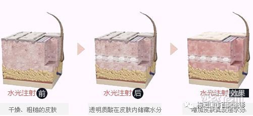 https://img.miyanlife.com/mnt/timg/190331/1221134021-2.jpg
