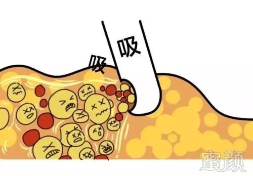 案例图片