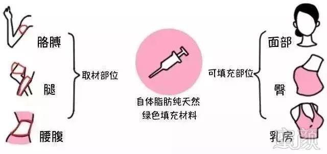 案例图片