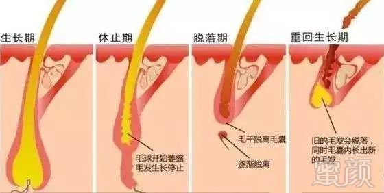 案例图片