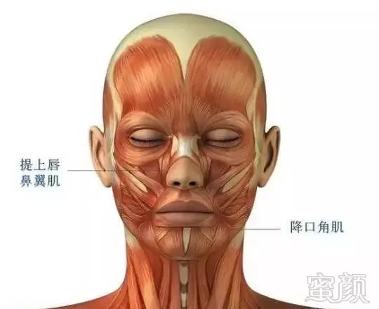 https://img.miyanlife.com/mnt/timg/190428/105912HW-3.jpg