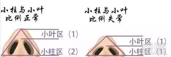 https://img.miyanlife.com/mnt/timg/190430/110354E53-4.jpg