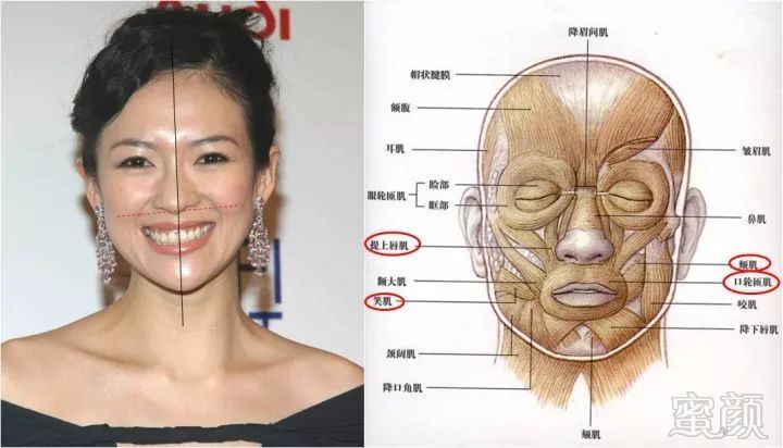https://img.miyanlife.com/mnt/timg/190501/13141345R-1.jpg