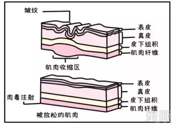 https://img.miyanlife.com/mnt/timg/190502/113941E58-2.jpg