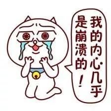 https://img.miyanlife.com/mnt/timg/190502/11460U463-1.jpg