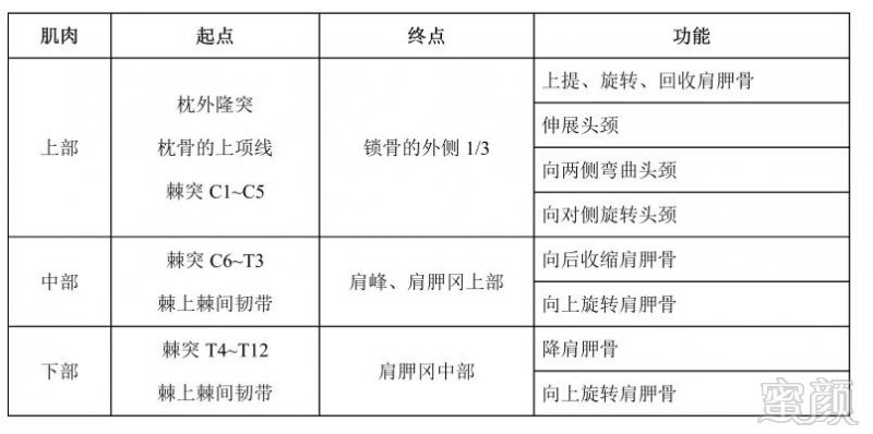 https://img.miyanlife.com/mnt/timg/190505/1119304046-3.jpg