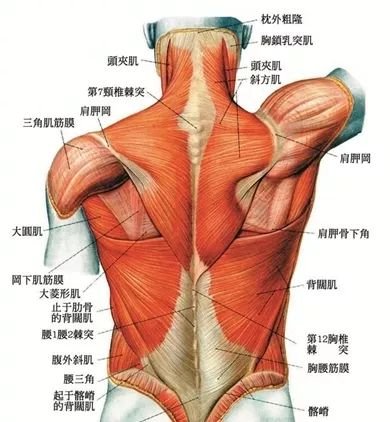 https://img.miyanlife.com/mnt/timg/190505/1119304R6-4.jpg