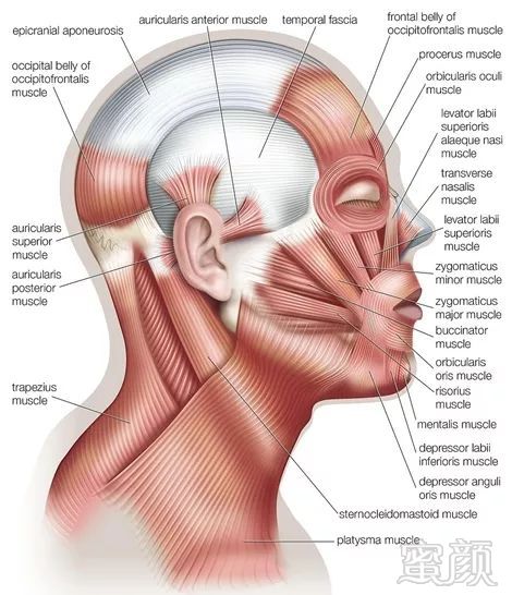 https://img.miyanlife.com/mnt/timg/190505/11193B0W-7.jpg