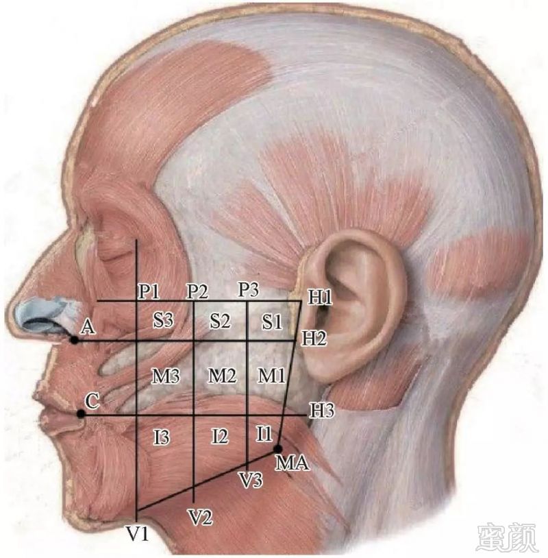 https://img.miyanlife.com/mnt/timg/190505/11193H4G-8.jpg