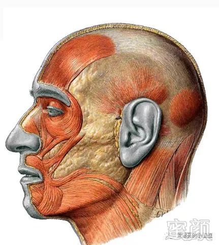 https://img.miyanlife.com/mnt/timg/190506/1211012294-6.jpg