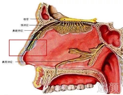 https://img.miyanlife.com/mnt/timg/190508/1206102K7-7.jpg