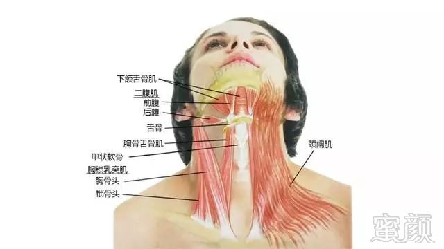 https://img.miyanlife.com/mnt/timg/190510/110G33E4-4.jpg