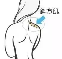 https://img.miyanlife.com/mnt/timg/190510/110G36260-5.jpg