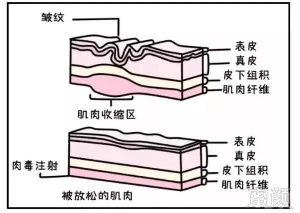 https://img.miyanlife.com/mnt/timg/190511/12404J502-3.jpg
