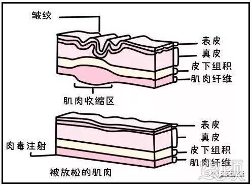 案例图片