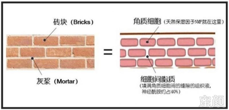 https://img.miyanlife.com/mnt/timg/190515/111312L19-0.jpg