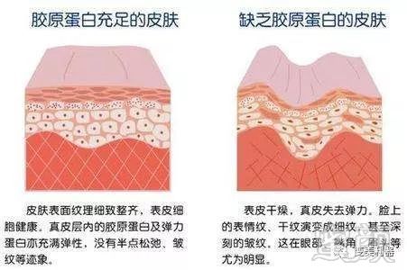 https://img.miyanlife.com/mnt/timg/190516/1231033229-10.jpg