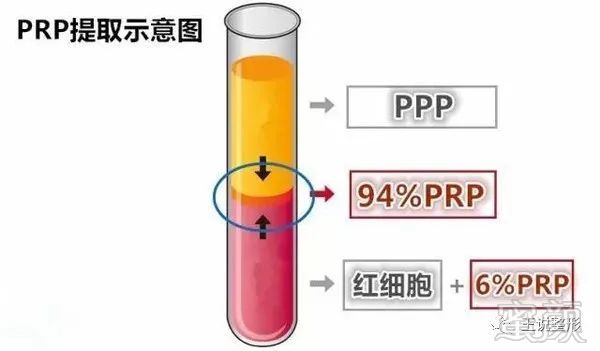 https://img.miyanlife.com/mnt/timg/190517/112ZT2b-3.jpg